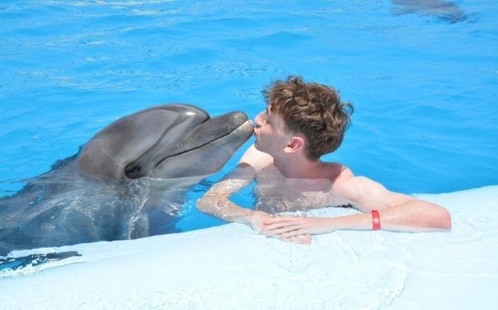 Dolphin Show Hurghada