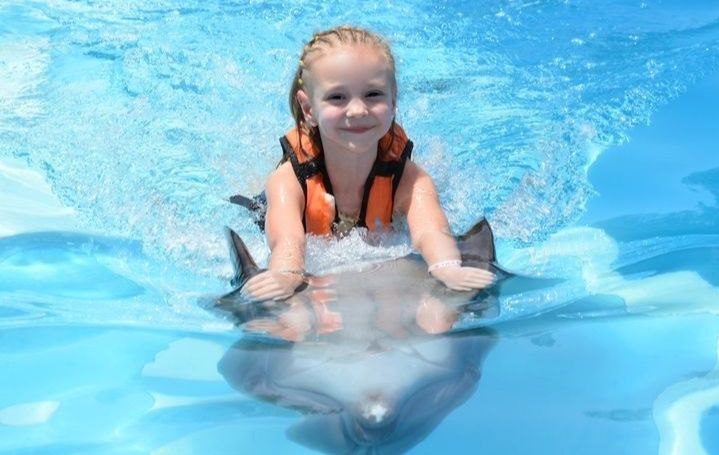 Dolphin Show Hurghada